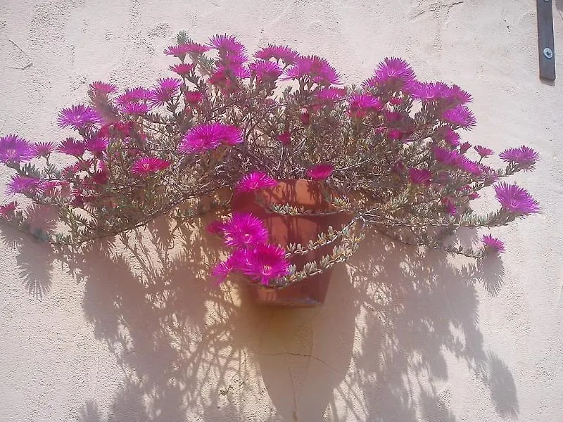 Boutique Hostal Lorca Nerja Guest house